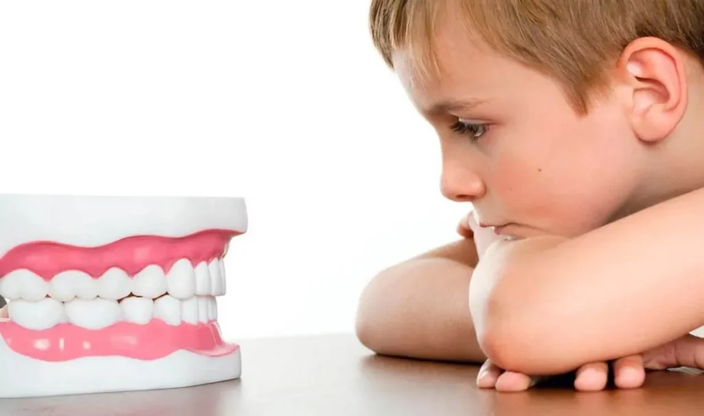 Young boy resting his chin on a table and looking at a large model of teeth
