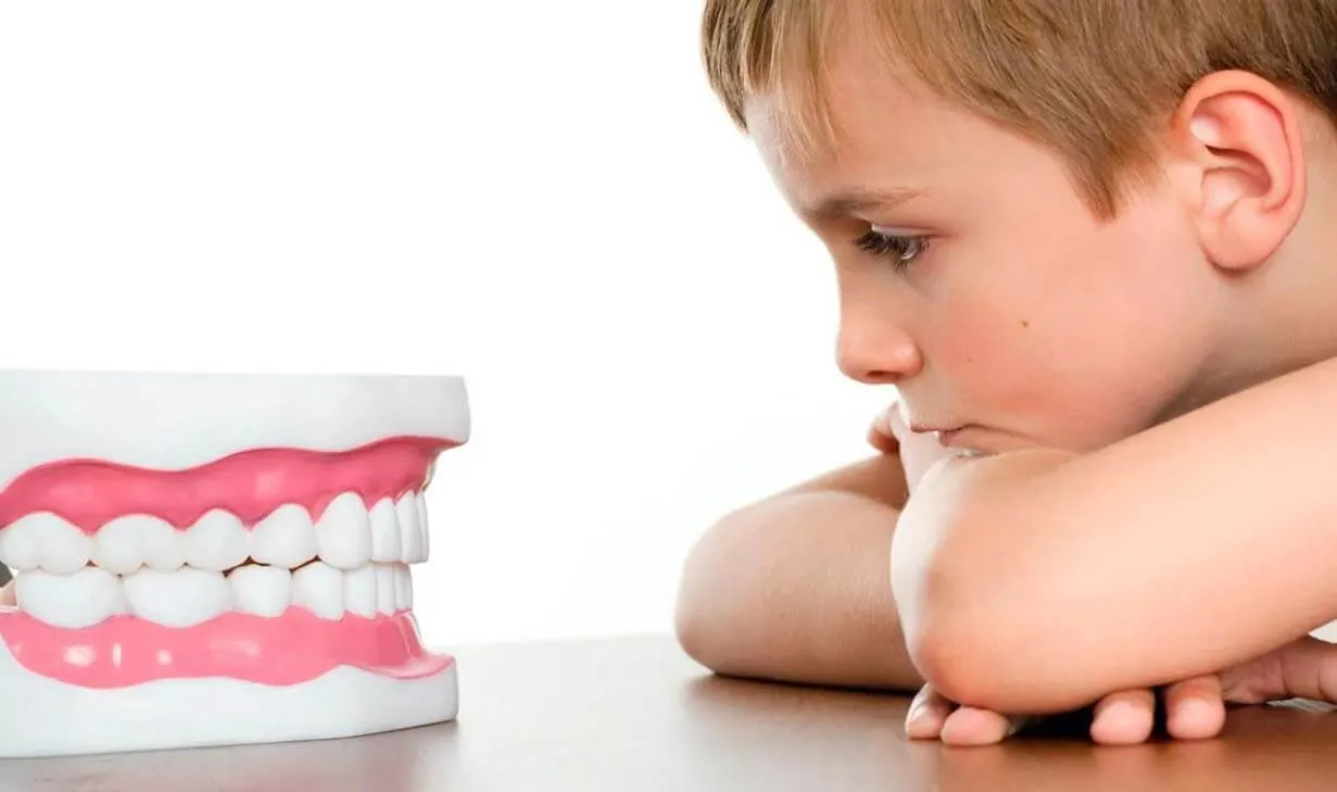Young boy resting his chin on a table and looking at a large model of teeth