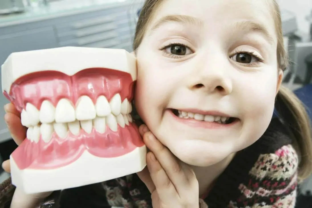 Young girl holding a large model of teeth beside her face